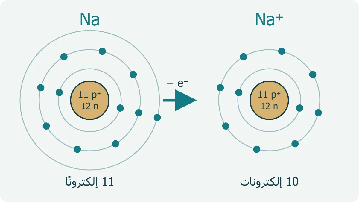 نموذجان تخطيطيان للصوديوم المتعادل وأيون الصوديوم، يوضحان بقاء أحد عشر بروتونًا وفقد إلكترون واحد