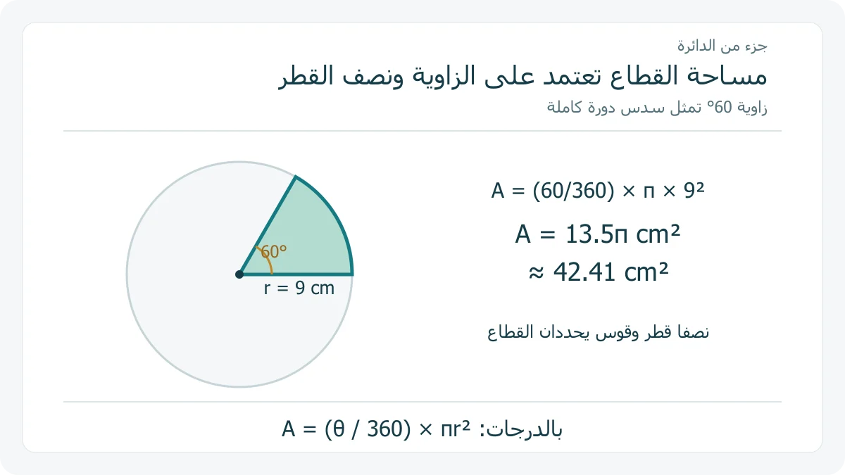 قطاع بزاوية 60 درجة من دائرة نصف قطرها 9 سم، مع حساب مساحته 13.5π أو نحو 42.41 سم مربع