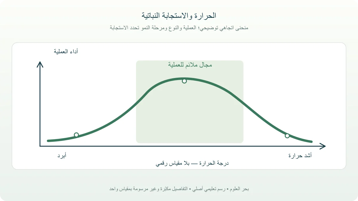 منحنى مفاهيمي لأداء نبات يرتفع ضمن مجال حراري ملائم ثم ينخفض مع الحر الشديد دون أرقام على المحاور
