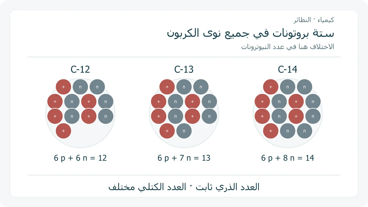 ثلاث نوى تخطيطية للكربون-12 والكربون-13 والكربون-14، لكل منها ستة بروتونات، وتحتوي ستة ثم سبعة ثم ثمانية نيوترونات
