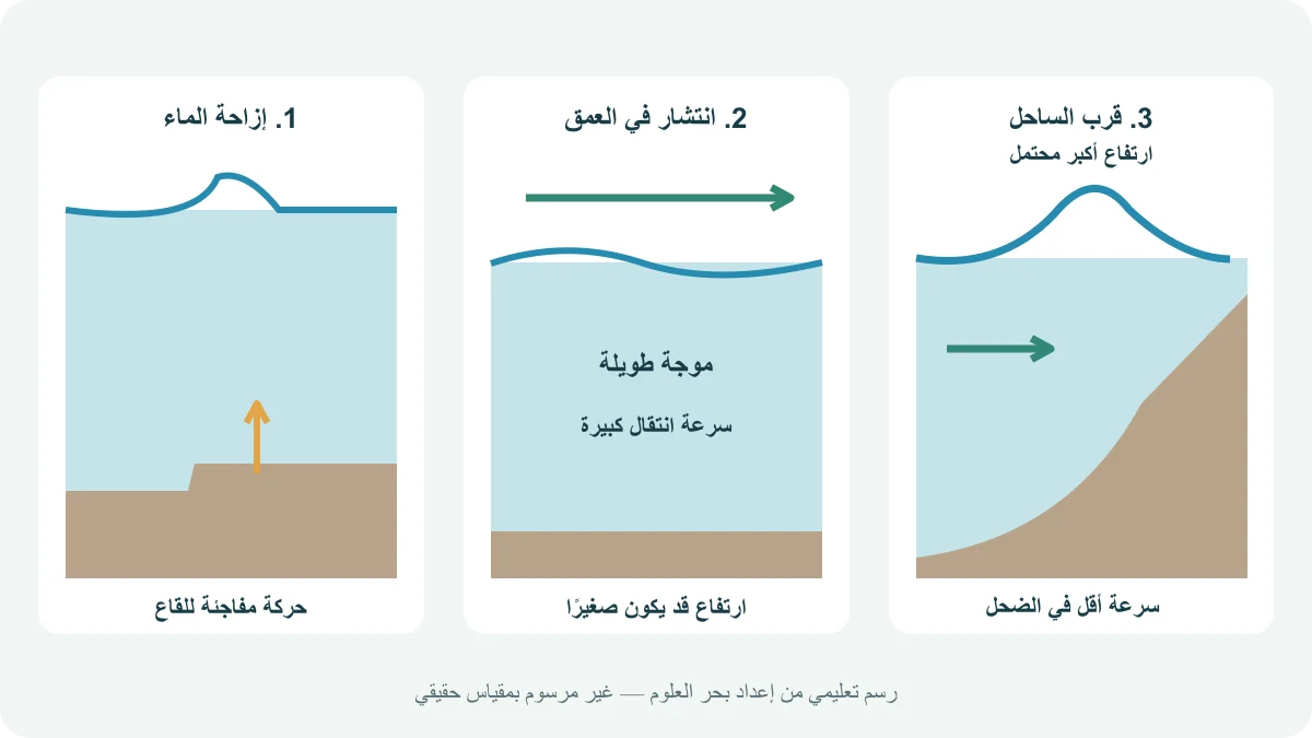 ثلاث مراحل مفاهيمية لتسونامي: ارتفاع قاع البحر وإزاحة الماء وانتشار موجة في العمق ونموها مع تباطؤها قرب الساحل