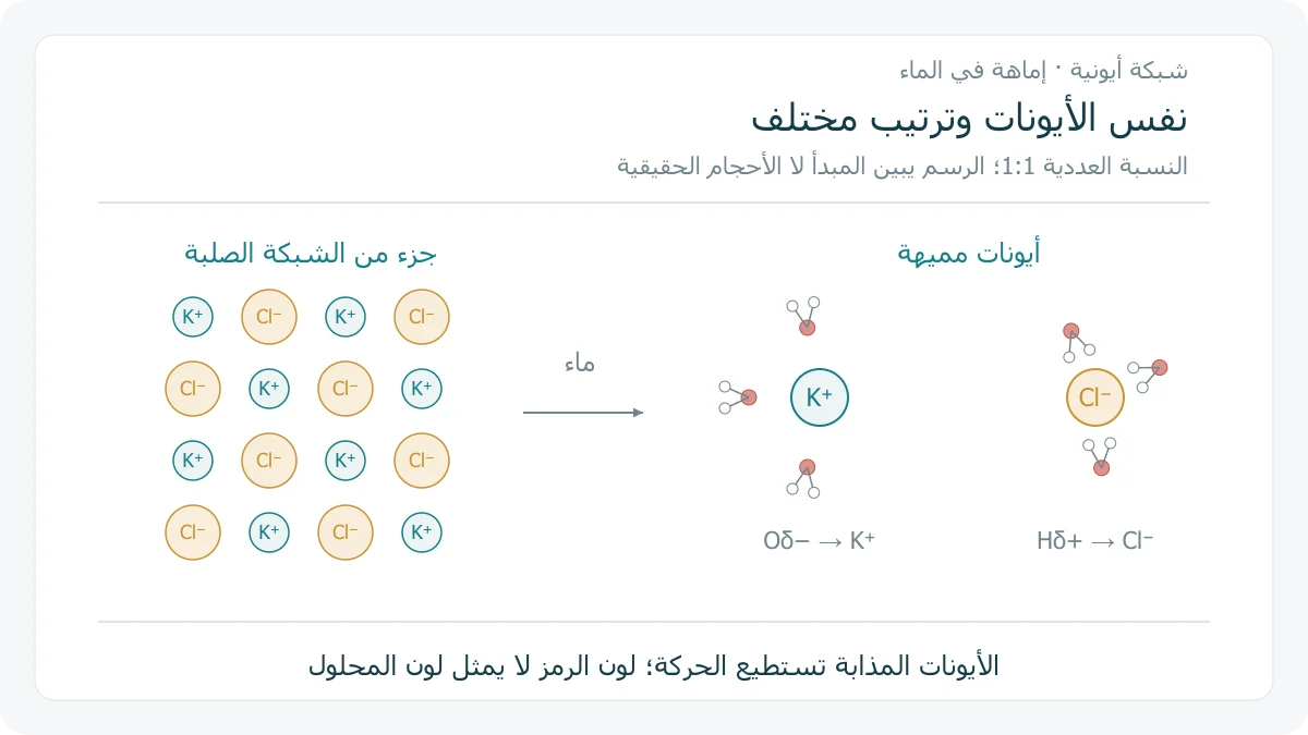 رسم أصلي لمقطع تخطيطي من شبكة أيونات K+ و Cl- متناوبة، مقابل أيونين مميهين يتجه فيهما أكسجين الماء إلى K+ وهيدروجينه إلى Cl-