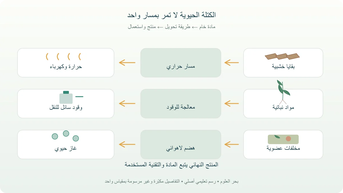 ثلاثة مسارات للكتلة الحيوية: خشب إلى حرارة وكهرباء، مواد نباتية إلى وقود سائل، مخلفات إلى غاز حيوي