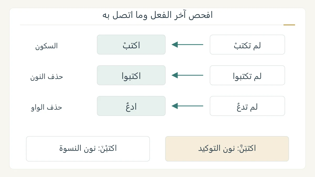 مخطط أصلي يشتق اكتبْ واكتبوا وادعُ من صيغ المضارع المجزوم، ويقارن اكتبْنَ واكتبَنَّ مع تمييز نوع النون