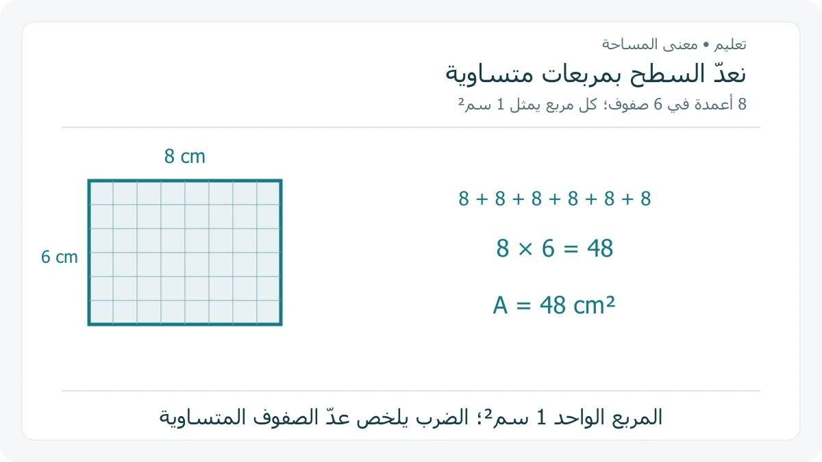 مستطيل 8 في 6 سم مقسم إلى 8 أعمدة و 6 صفوف من مربعات ضلعها 1 سم وعددها 48