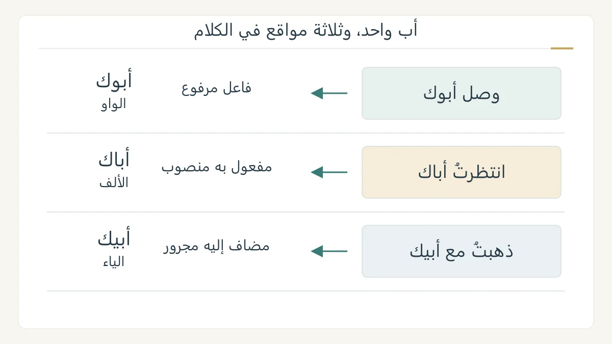 رسم نحوي أصلي يضع أبوك وأباك وأبيك في ثلاث جمل، ويبرز الواو والألف والياء ووظيفة الاسم في كل جملة