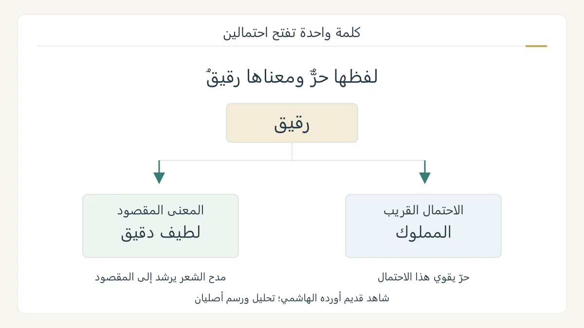 رسم بلاغي أصلي لتحليل لفظ رقيق في شاهد سراج الدين الوراق، مع معنى قريب هو المملوك ومعنى مقصود هو لطافة المعنى، ويظهر لفظ حر قرينة للمعنى القريب