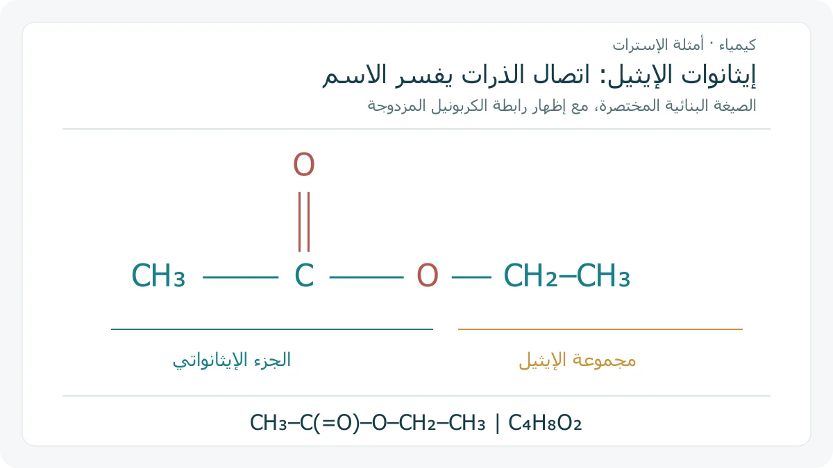 صيغة بنائية أصلية لإيثانوات الإيثيل تظهر كربون الكربونيل برابطة مزدوجة مع أكسجين ورابطة منفردة مع أكسجين المجموعة الإيثيلية