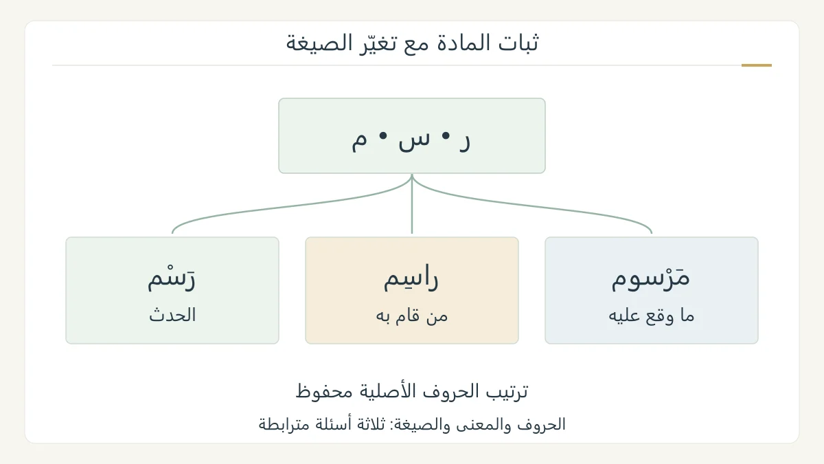 رسم صرفي أصلي يثبت ترتيب حروف راء وسين وميم ويقارن رسم وراسم ومرسوم بدلالة الحدث ومن فعله وما وقع عليه