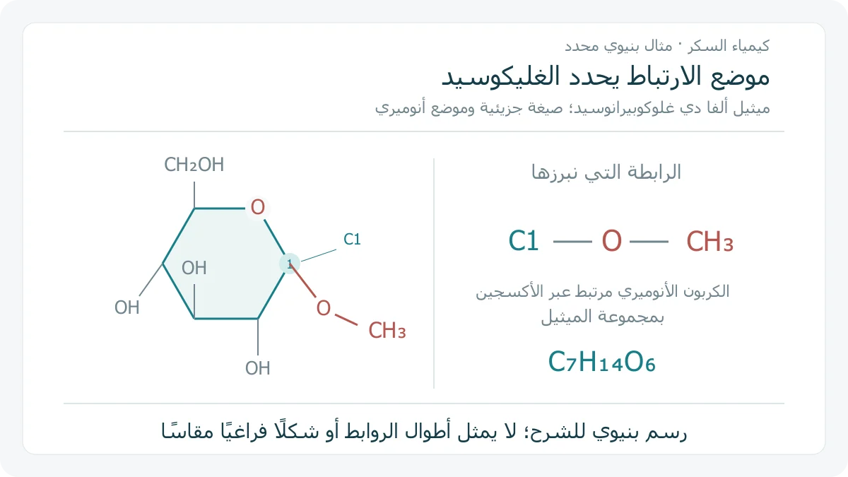 تمثيل هاوورث أصلي لميثيل ألفا دي غلوكوبيرانوسيد، يظهر أكسجين الحلقة والكربون الأنوميري المرتبط عبر أكسجين بمجموعة ميثيل، إلى جانب توسعة للرابطة C1 O CH3
