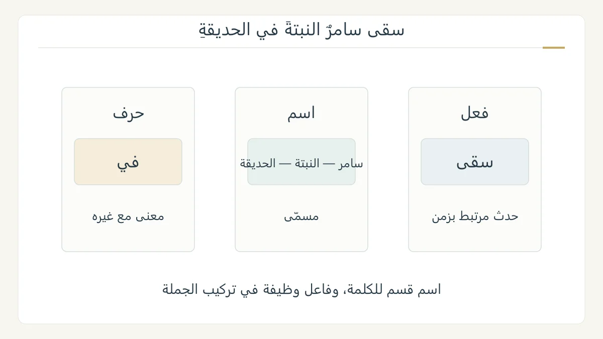 رسم أصلي يصنف كلمات سقى وسامر وفي والحديقة إلى فعل واسم وحرف، مع توضيح حدث ومسمى وربط، في جملة سقي نبتة