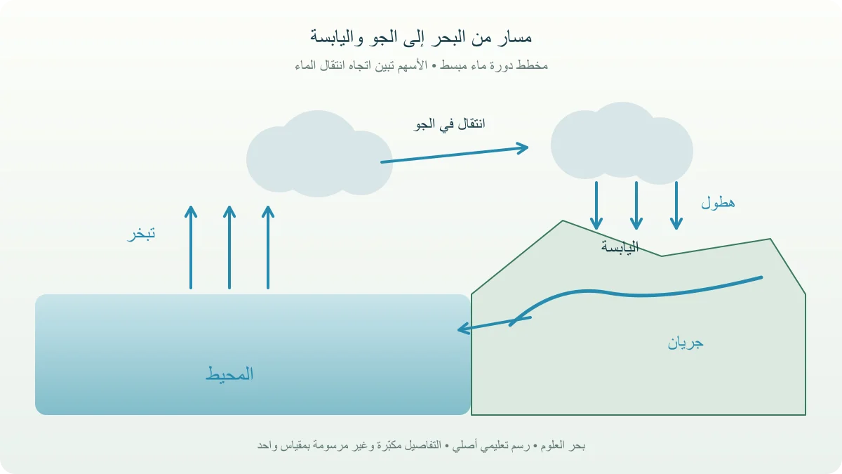 محيط وسحب ويابسة وأسهم تبخر وهطول وجريان