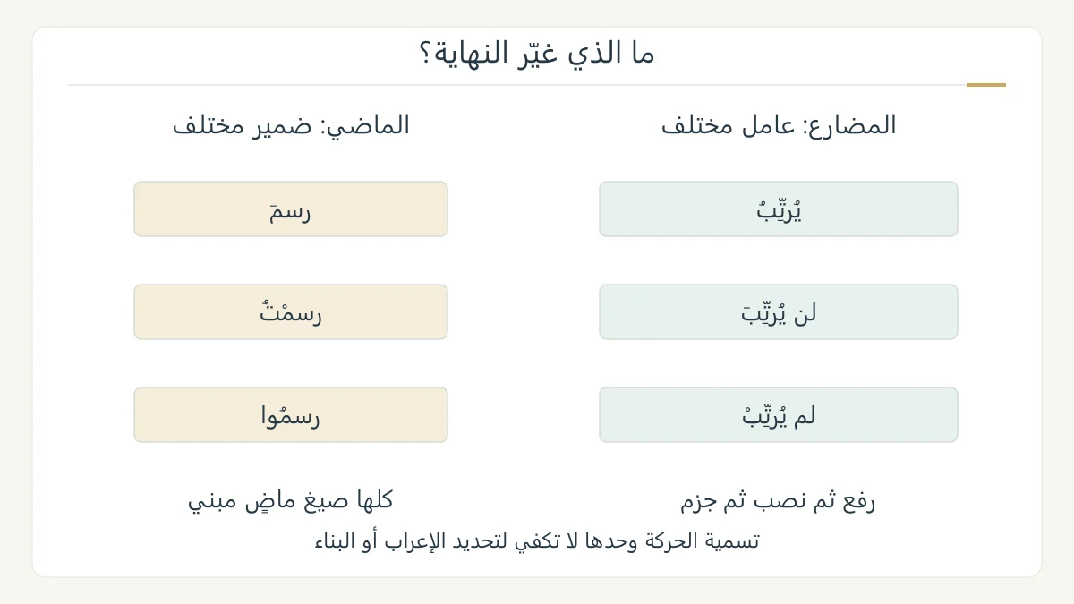 مخطط نحوي أصلي يوازن سلسلة المضارع يرتب ولن يرتب ولم يرتب مع سلسلة الماضي رسم ورسمت ورسموا، ويميز العامل من الضمير