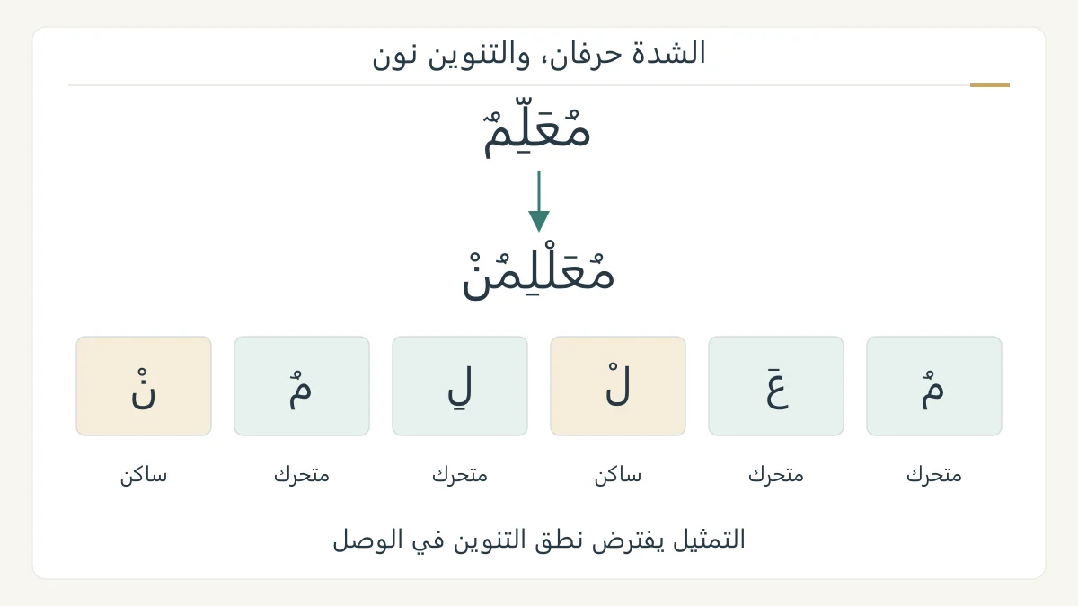 لوحة أصلية تفك معلم إلى ميم متحركة وعين متحركة ولام ساكنة ولام متحركة وميم متحركة ونون ساكنة، وتبين الشدة والتنوين