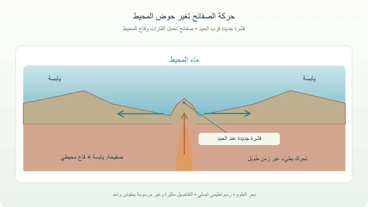 مقطع مفهومي لحيد محيطي تتكون عنده قشرة جديدة وتبتعد عن المركز بين كتل قارية