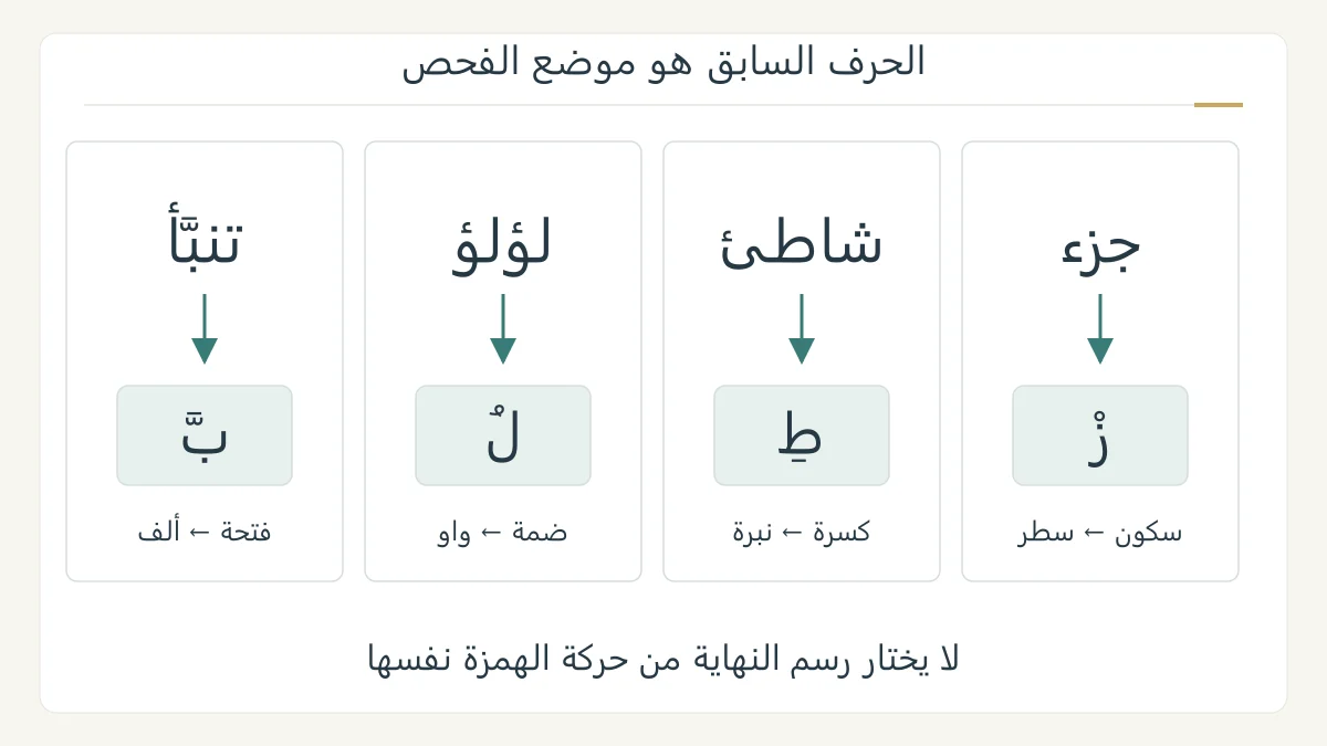 أربع عدسات تعليمية تبرز الحرف السابق في تنبأ ولؤلؤ وشاطئ وجزء، وتربط حركته برسم الهمزة الأخير